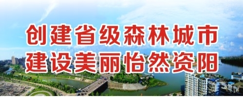 日女人免费网址创建省级森林城市 建设美丽怡然资阳