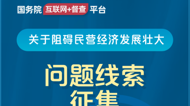 女人鸡八视频国务院“互联网+督查”平台公开征集阻碍民营经济发展壮大问题线索